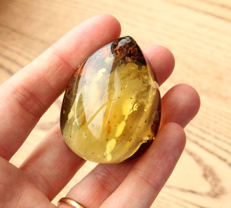 Amber Palm Stone