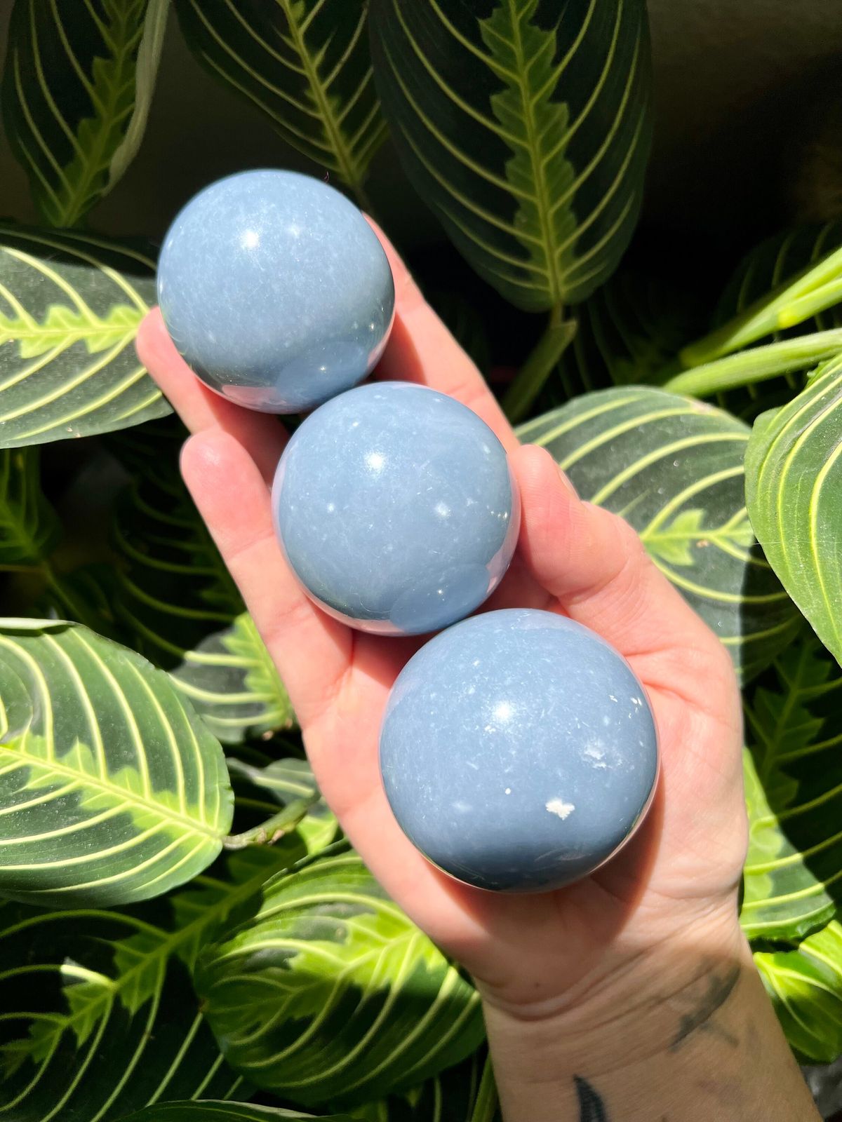 Angelite Sphere