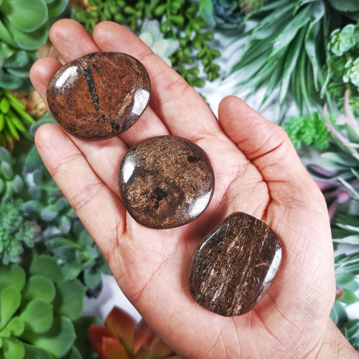 Bronzite Palm Stone