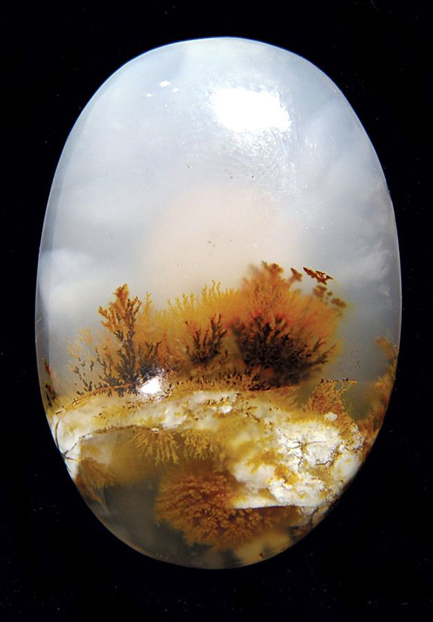 Dendritic Agate Palm Stone