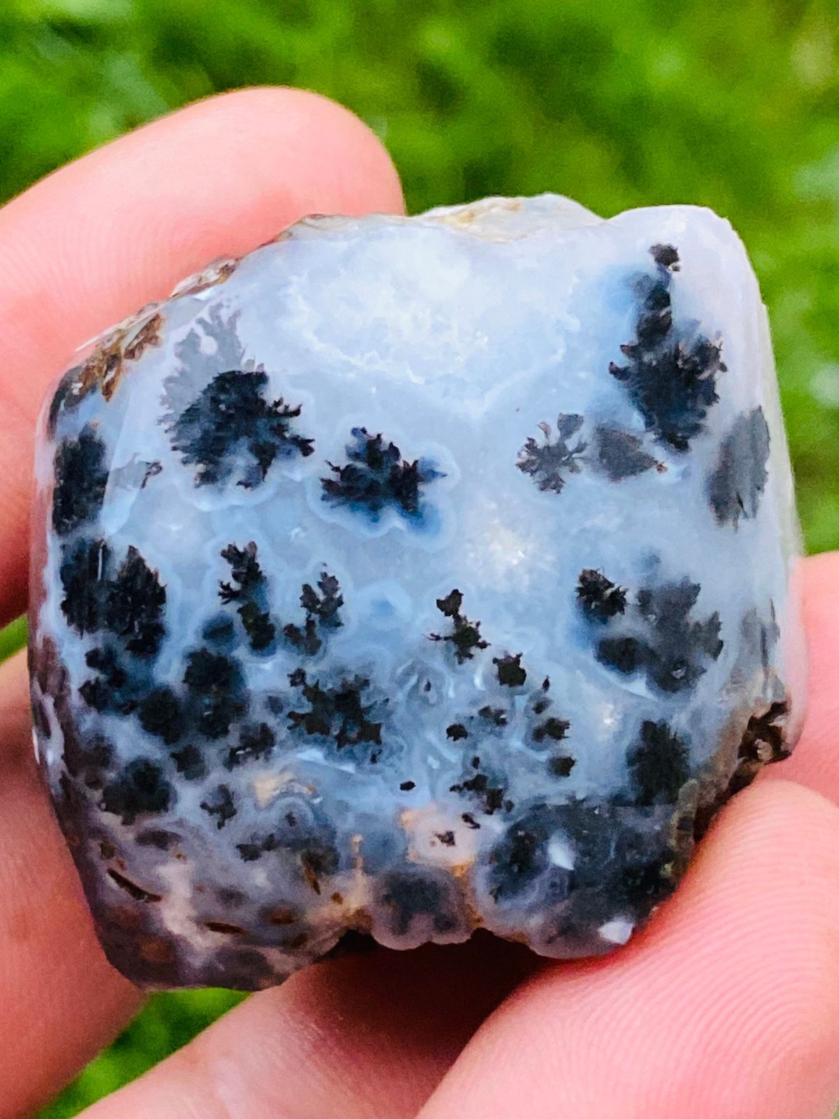 Dendritic Agate Rough