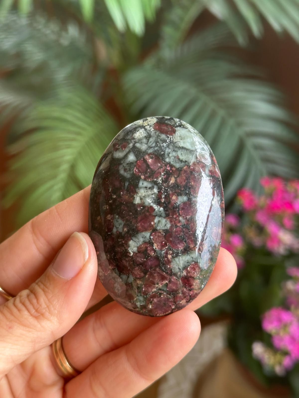 Eudialyte Palm Stone