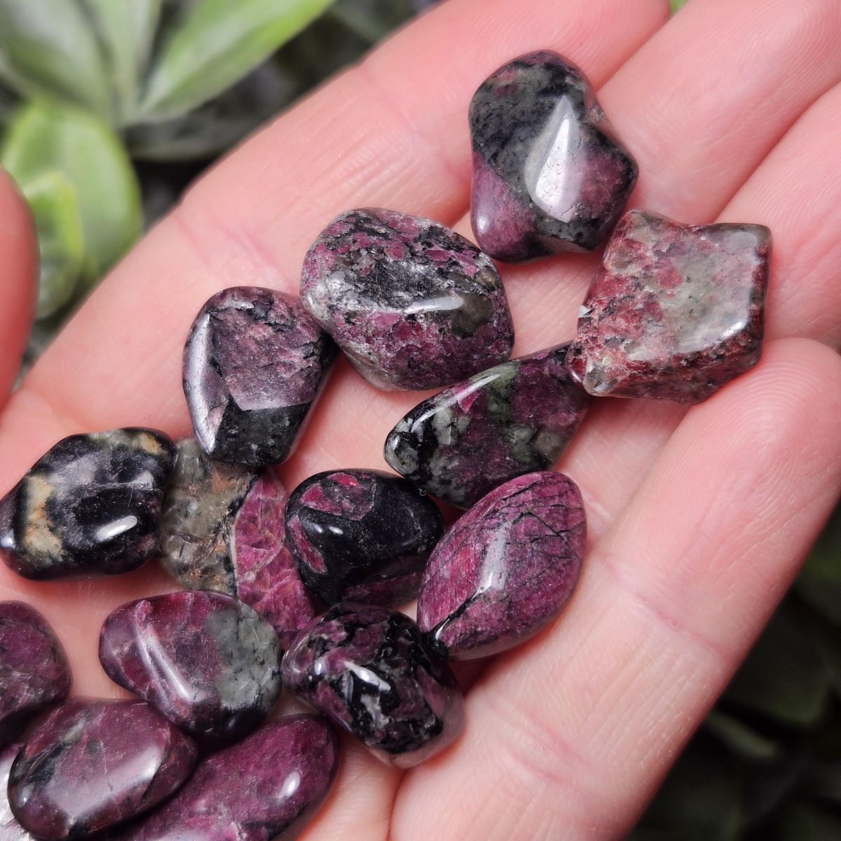 Eudialyte Tumble Stone