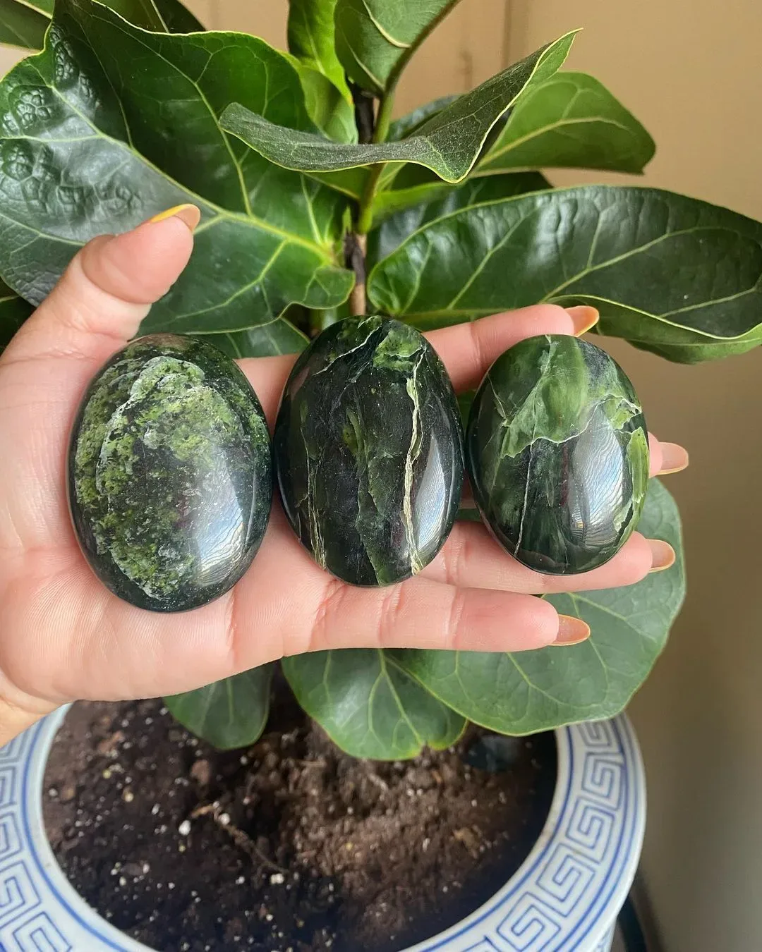Jade Palm Stone