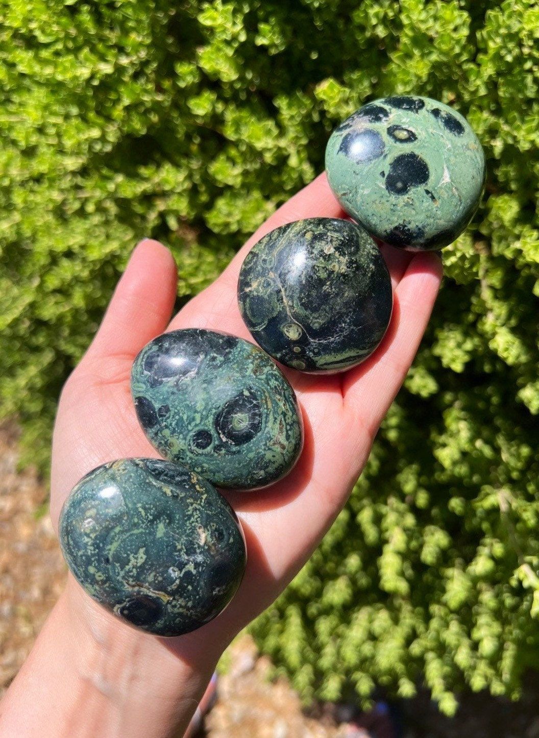 Kambaba Jasper Palm Stone