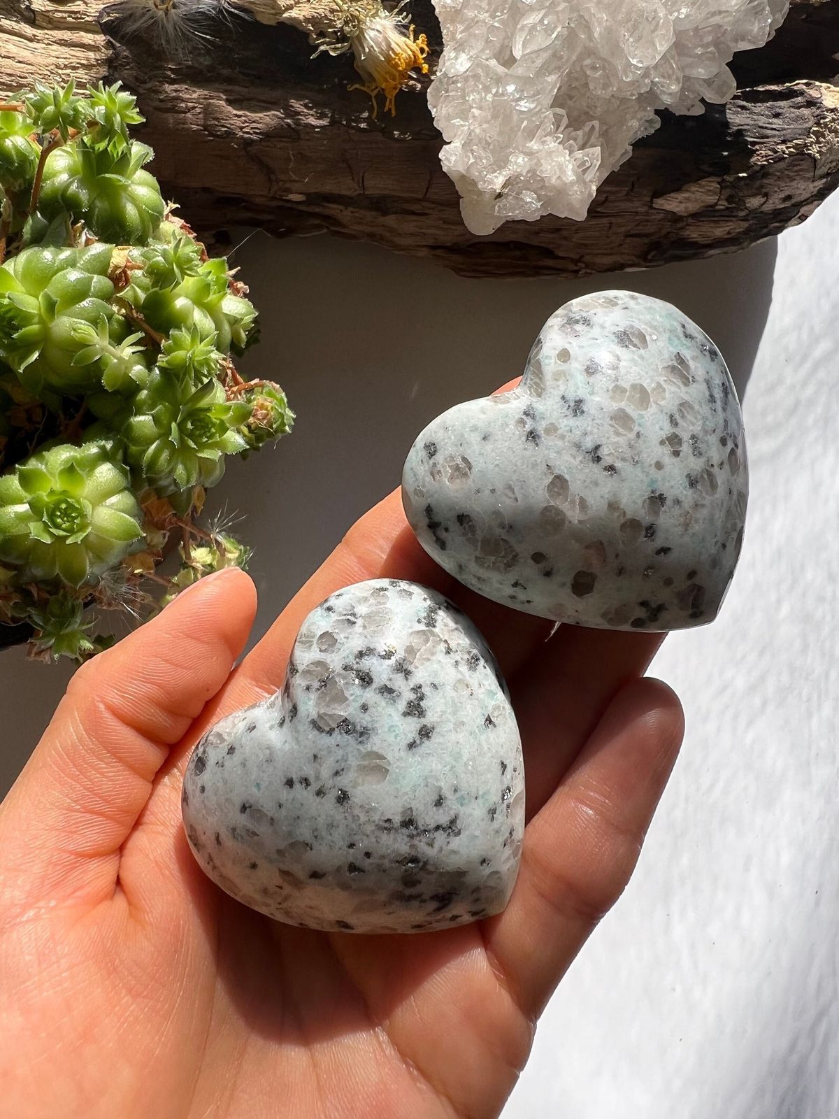 Kiwi Jasper Heart