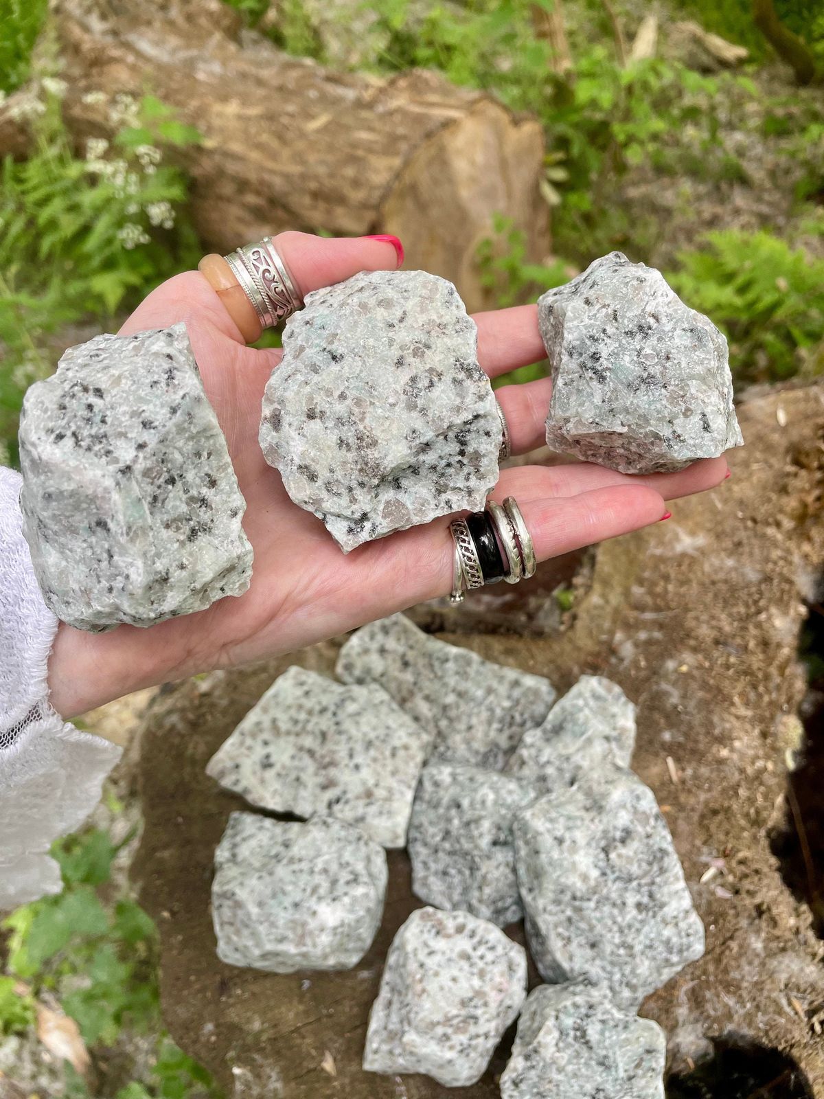 Kiwi Jasper Rough