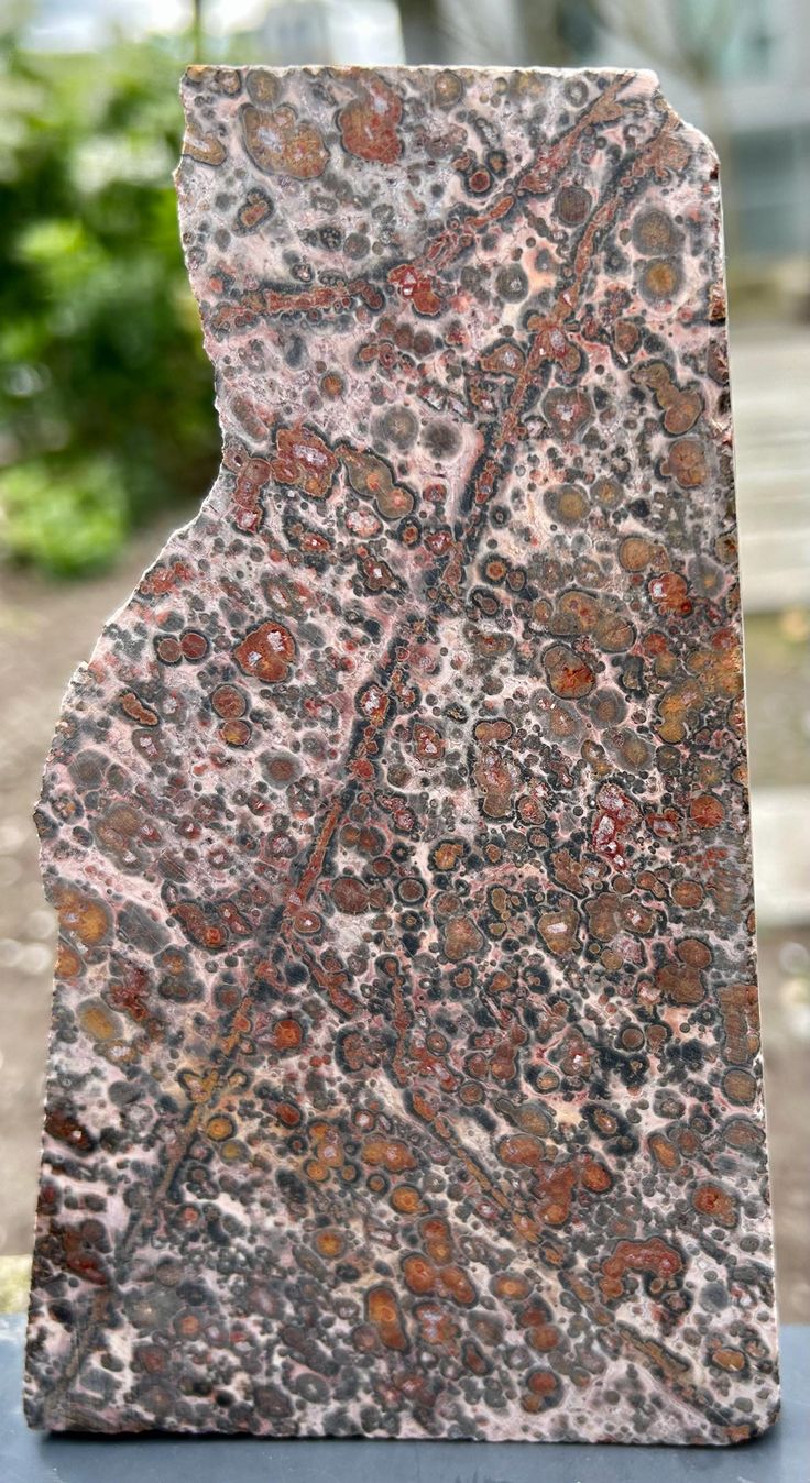 Leopard Skin Jasper