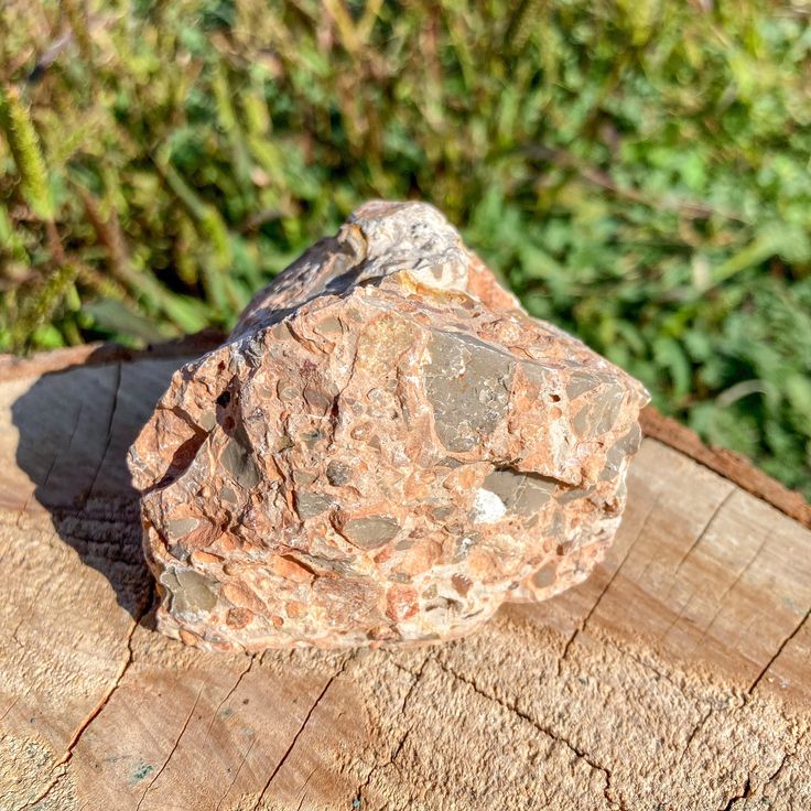 Leopard Skin Jasper Rough