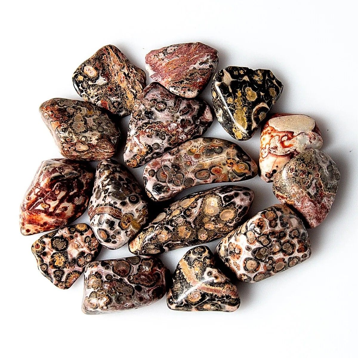 Leopard Skin Jasper Tumble Stone