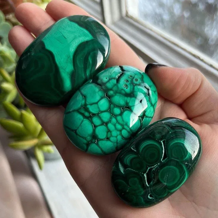 Malachite Palm Stone