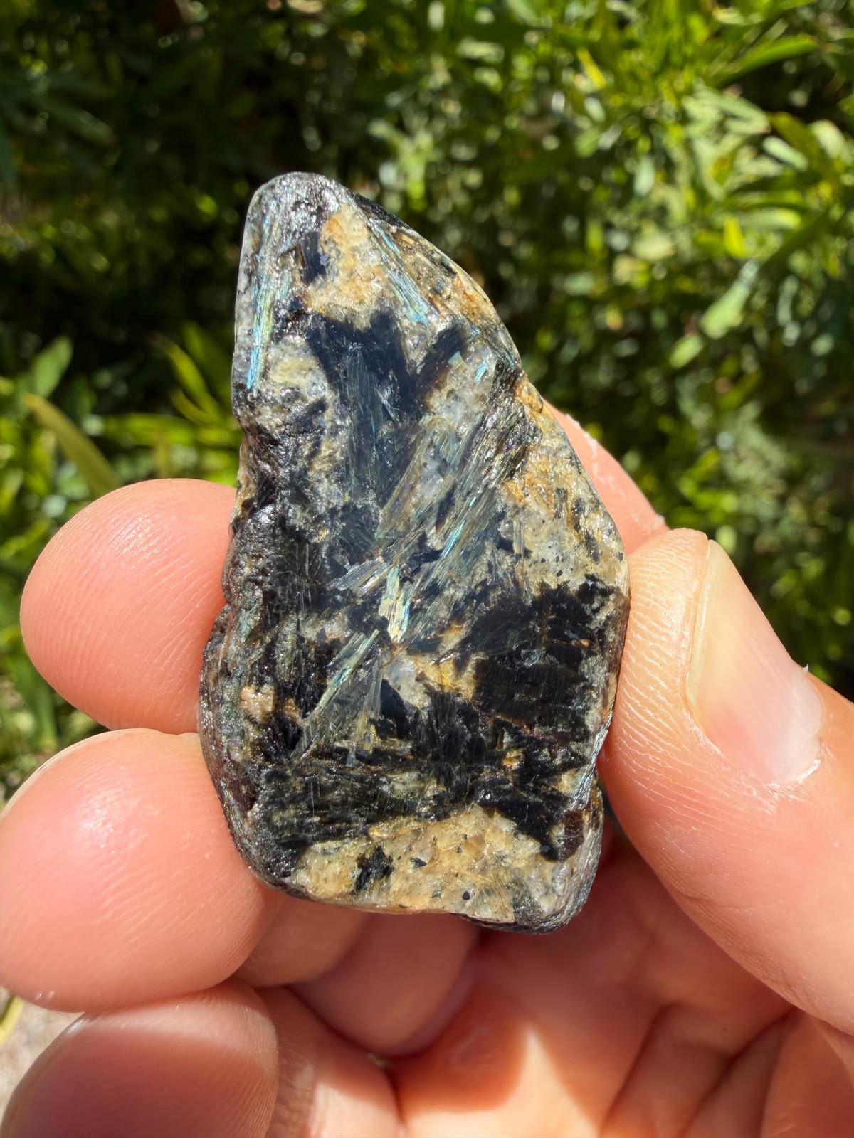 Nuummite Rough