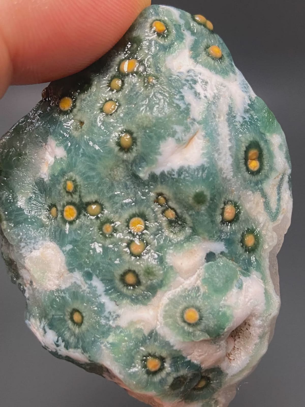 Ocean Jasper Rough