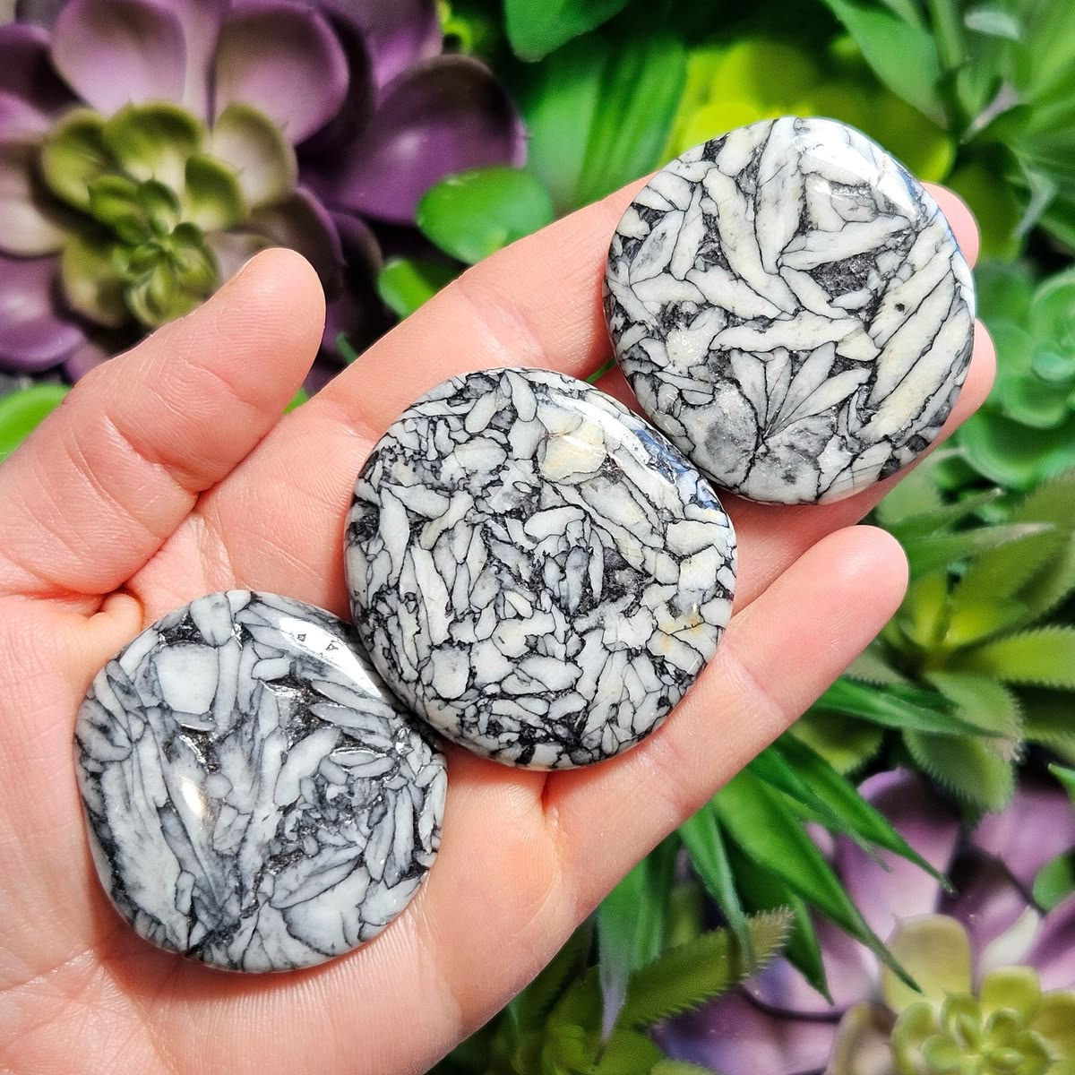 Pinolite Palm Stone