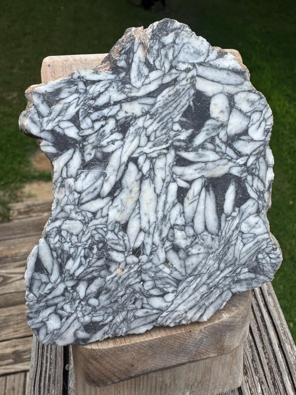 Pinolite Rough
