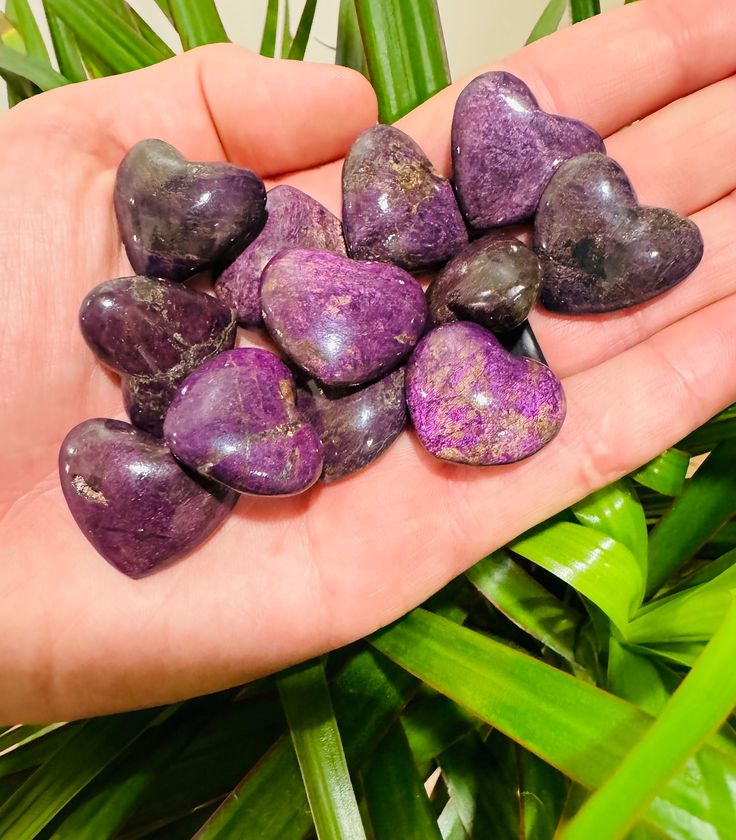 Purpurite Heart