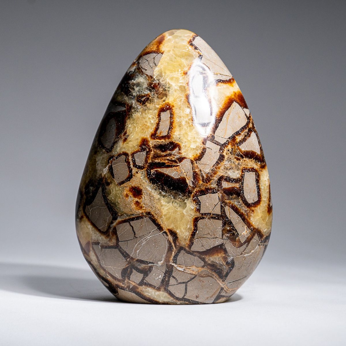 Septarian
