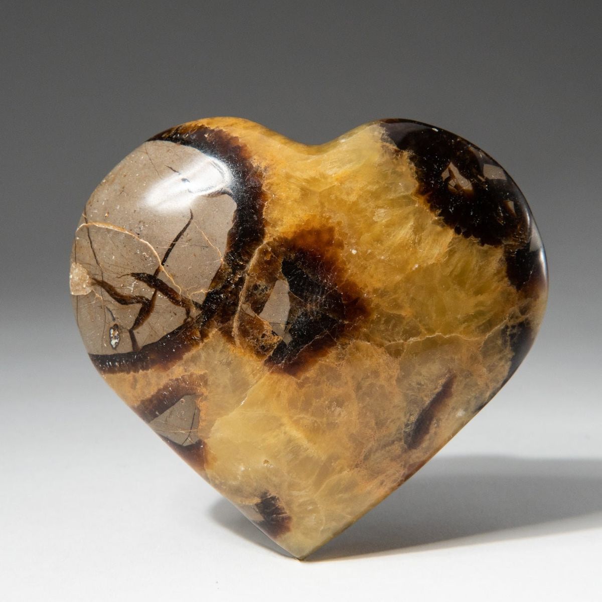 Septarian Heart