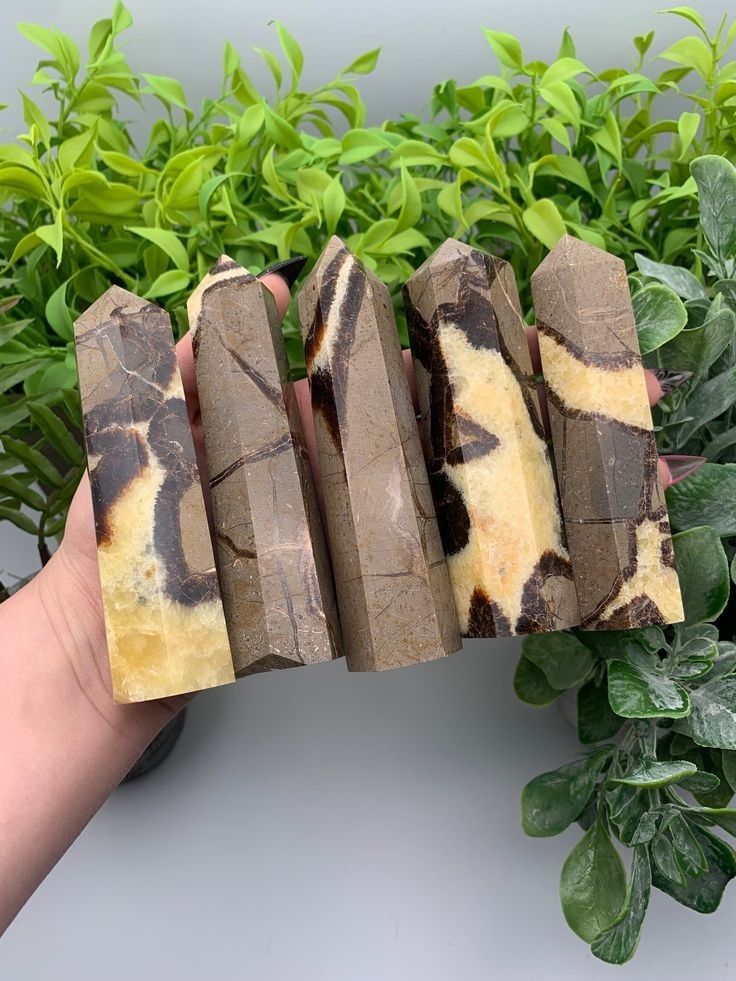 Septarian Point / Tower