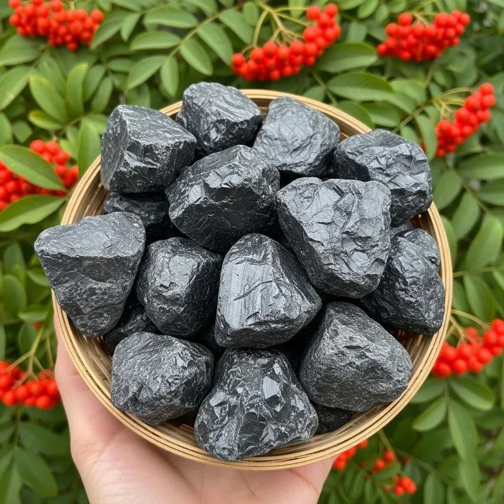 Shungite Rough