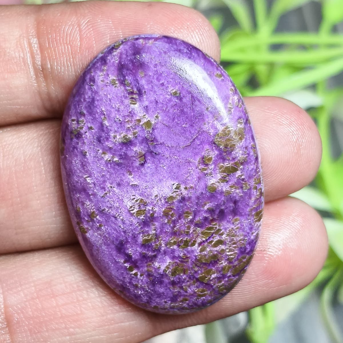 Stichtite Palm Stone