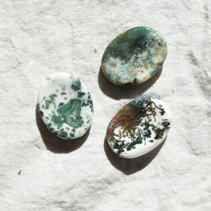 Tree Agate Palm Stone