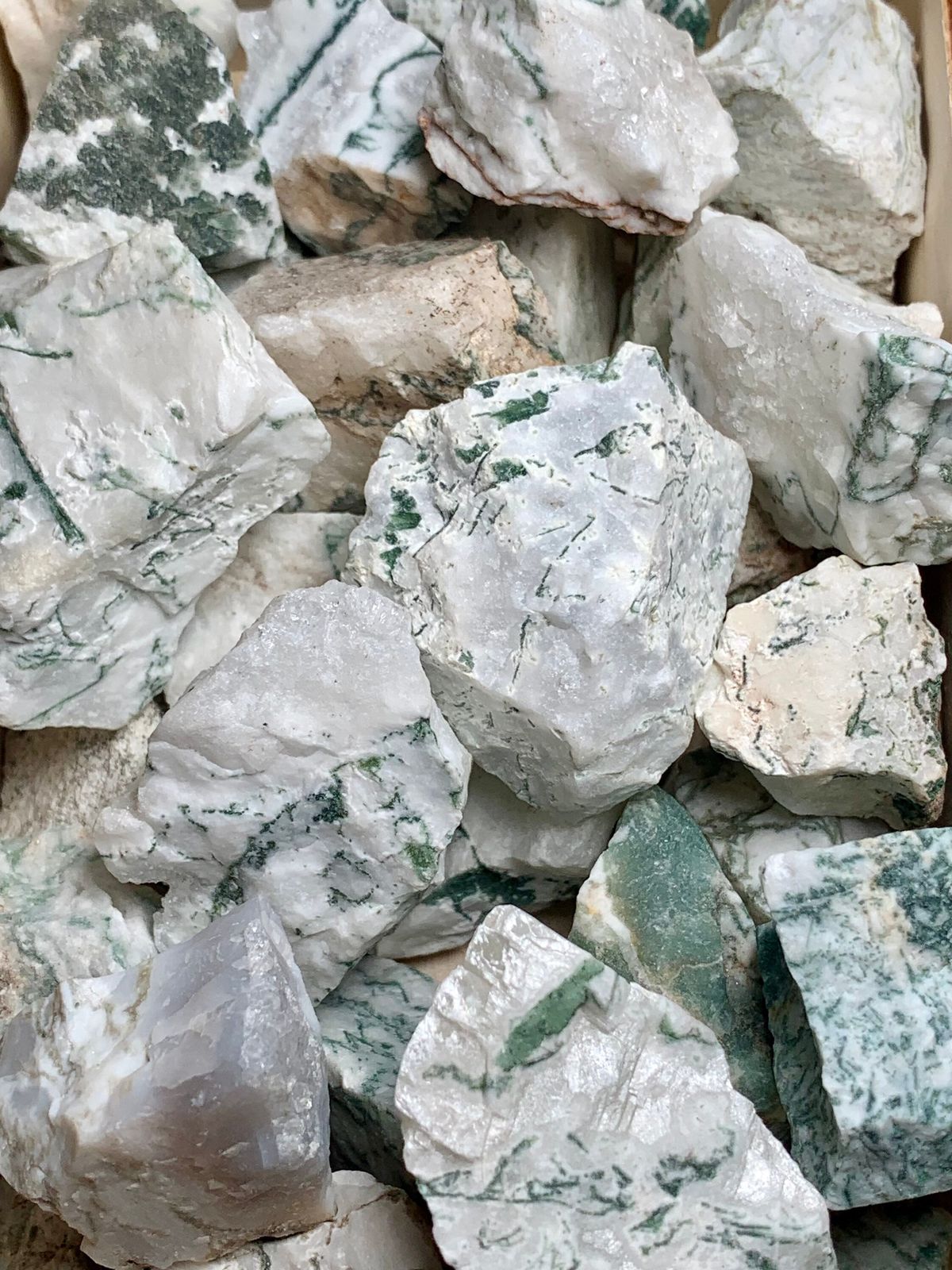 Tree Agate Rough