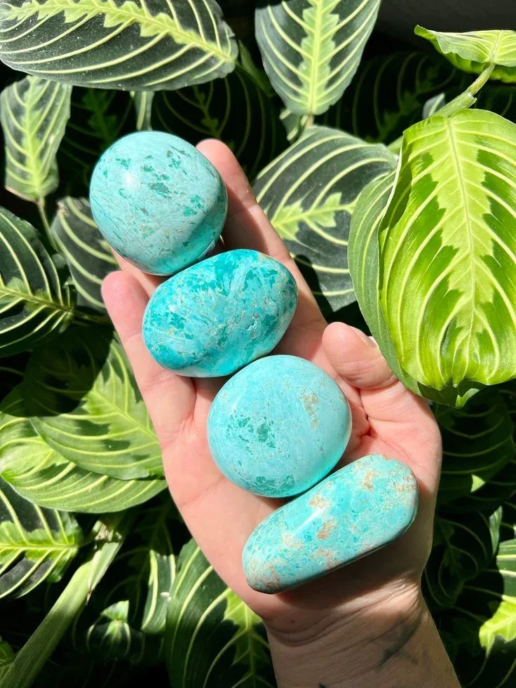 Turquoise Palm Stone